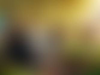 ట్రంకు పెట్టె