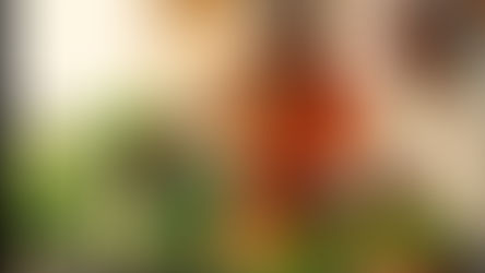 పొదరిల్లు