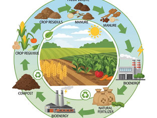 వ్యవసాయ వ్యర్థాలను కంపోస్ట్ మరియు బయోగ్యాస్గా మార్చడం