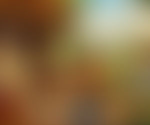 విశ్వసనీయత