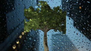 వటవృక్ష విలాపం