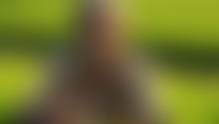 పల్లె పరవశం