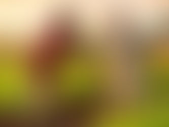 రైతు రాజా