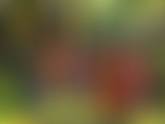 ఒరేయ్ ప్రాణ స్నేహితుడా.. మల్లాదీ