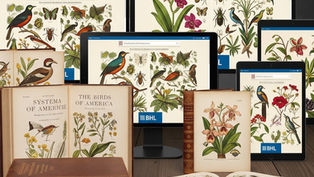 జీవ వైవిధ్య జ్ఞానం – ఇప్పుడు మీ వేలి నొక్కడంలో