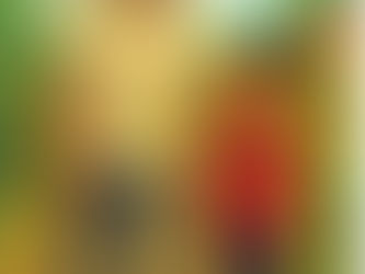 పరిష్కార మార్గము