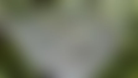 భావుకతకు భాష్యం