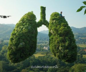 అడవిలో ఊపిరి