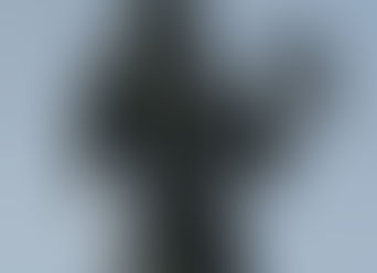 తెలుగు భాషా దినోత్సవం(29/08/2021)