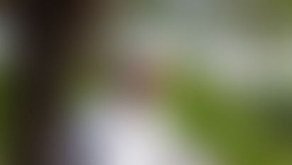 మస్తాన్ బాబా