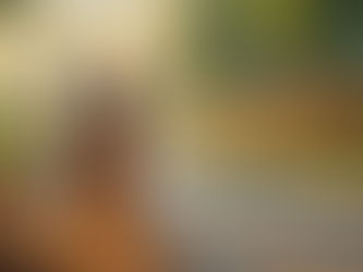 స్వచ్ఛతకు మూలం శ్రమదానం