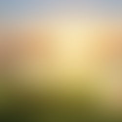 జనక మహారాజు స్వయంగా భూమిని దున్నిస్తున్నప్పుడు, నాగలి చాలు నుండి ఒక అద్భుతమైన బాలిక లభించింది.