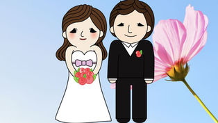 మళ్ళీ పెళ్ళి