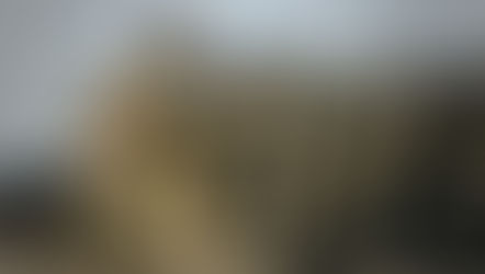 దేశం కోసం