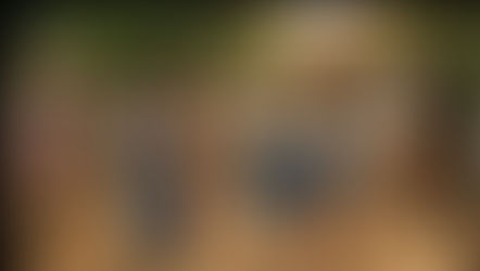 Children resolving neighbour's quarrel