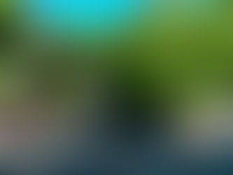 ఆ గేటు తెరిచే ఉంది