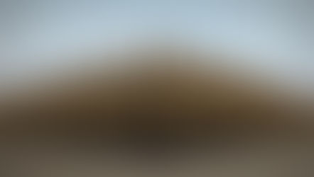 ఎర్రటి గులాబీల మధ్య ఎర్రటి రక్తం