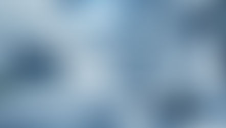 Robotic Process Automation