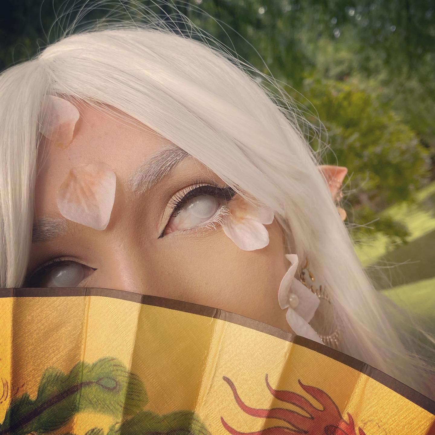 Writer: Addison Thornton