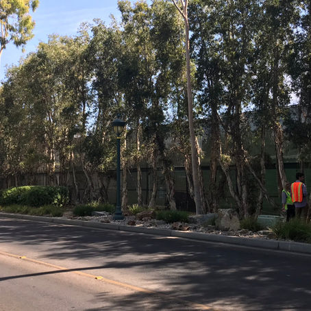 El valor de la consultorÃa paisajÃstica: un caso de asistencia de expertos a corto plazo