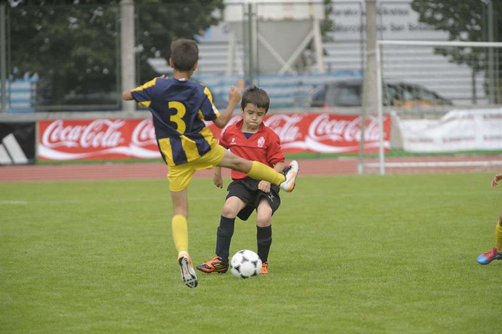 Alevines de 1º año