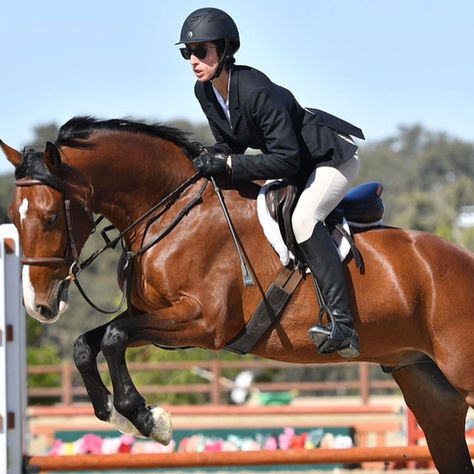 Pelvic Pain While Horseback Riding? Here’s What Your Body’s Trying to Tell You
