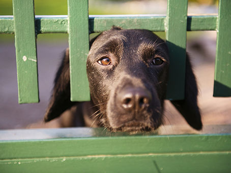 Don’t You Dare Feel Guilty!