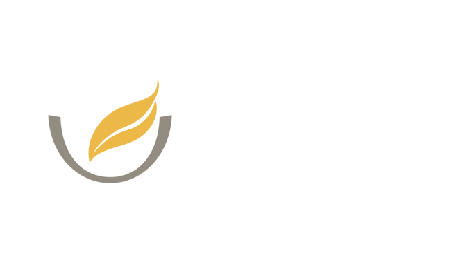 Gialli Skin Care Solutions