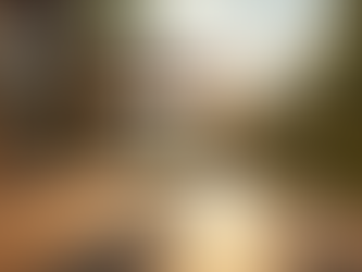 Transform Your Space: Custom Decks and Pergolas