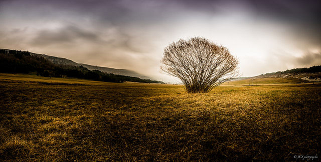 Plateau de Caussols, France .