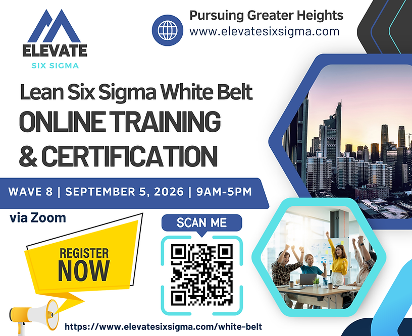 Wave 8 - White Belt Poster.png
