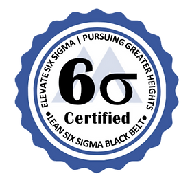 LSSBB Certification Badge