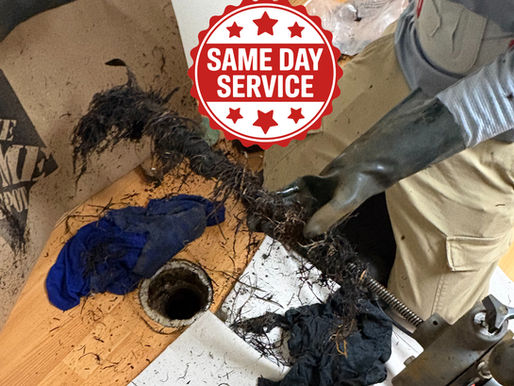 Winnipeg’s Fastest Same-Day Professional Rooter and Drain Cleaning