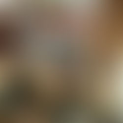 Fast Drain Cleaning and Rooter Services in Winnipeg: Same-Day Solutions