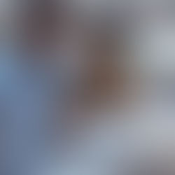 Fixture Replacement Done Right, Proven Quality and Workmanship in Every Job