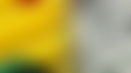 Morales calcula que Bolivia perdió $us 10.000 millones debido a polÃticas neoliberales