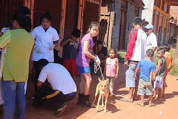 Campaña de vacunación antirrábica en Riberalta, un éxito