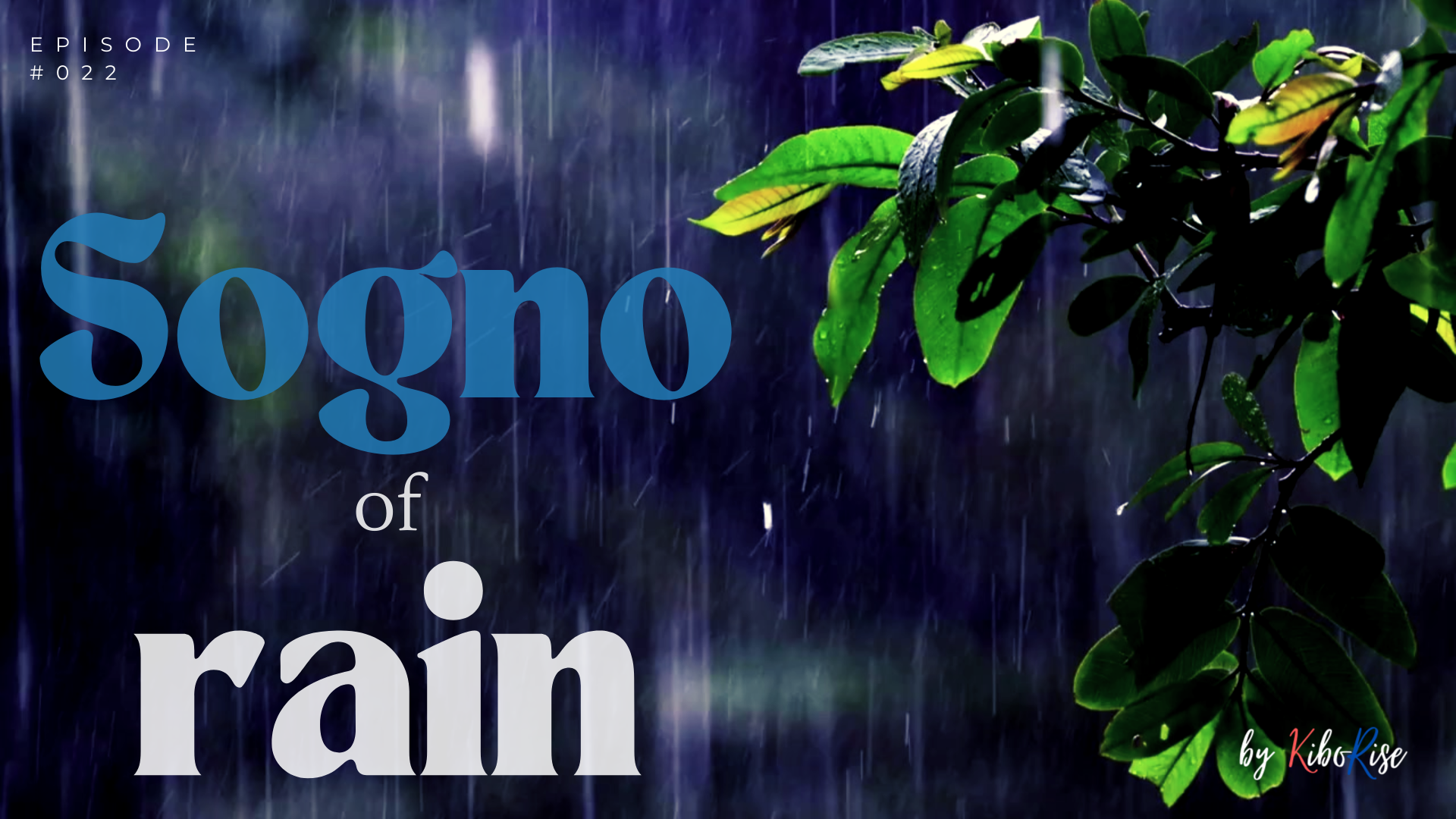 Sogno of Rain Screensaver (4K)