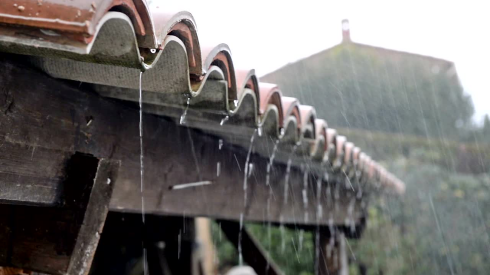 섬네일: Sogno of Rain Screensaver (4K)