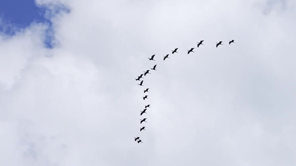 Thumbnail: Sea of Clouds Screensaver (4K)