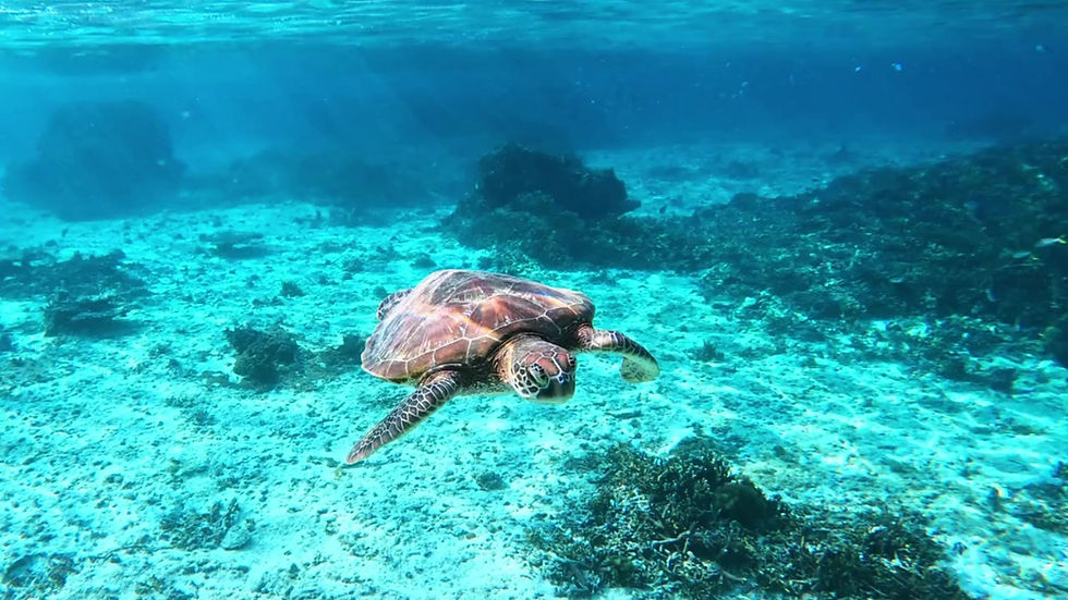 Thumbnail: Aqua Dream Screensaver (4K)