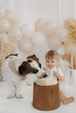 Erster Geburtstag mit Cake Smash Shooting in Heidenheim