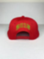 Topflexa Series SnapBack 