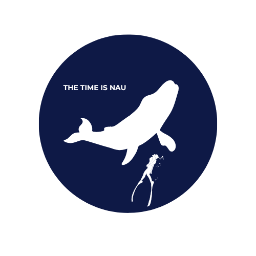 freediving