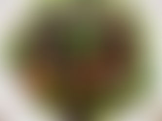 Plant-Based Foods Rich in Vitamin B