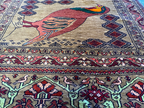 203×105cm アフガニスタン・ヘラート・ザッカン産 絨毯 ラグ 203×105cm アフガニスタン・ヘラート・ザッカン産 絨毯 ラグ