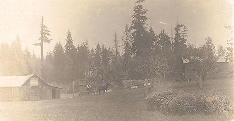 scan0114-1.jpg