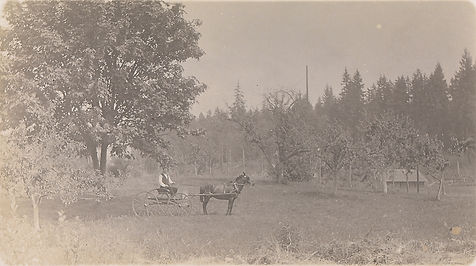 scan0118-1.jpg