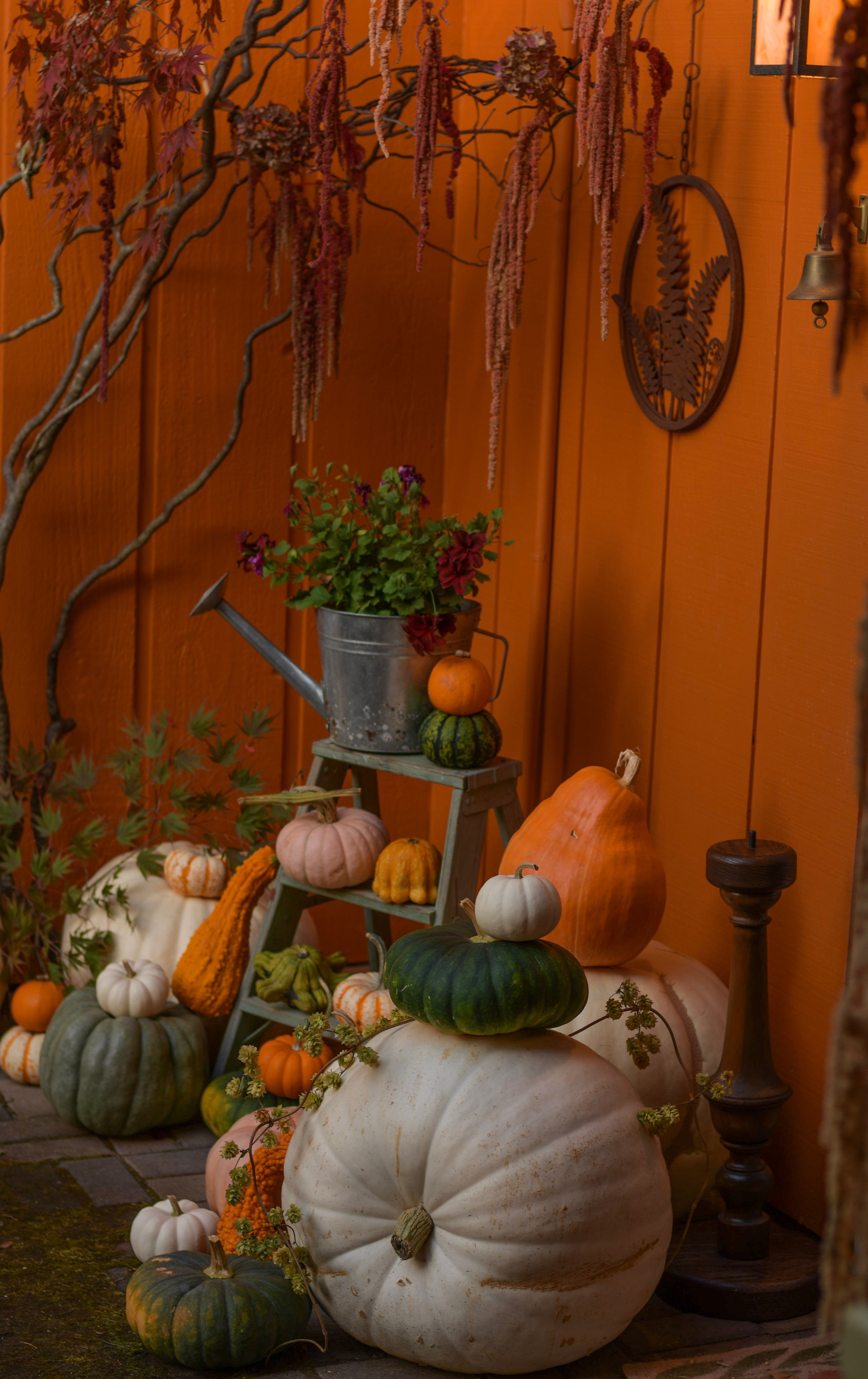 Pumpkin Porch Styling Service