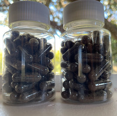 Packaged placenta capsules